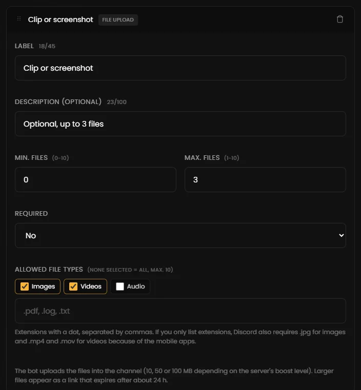 Settings of a file upload field