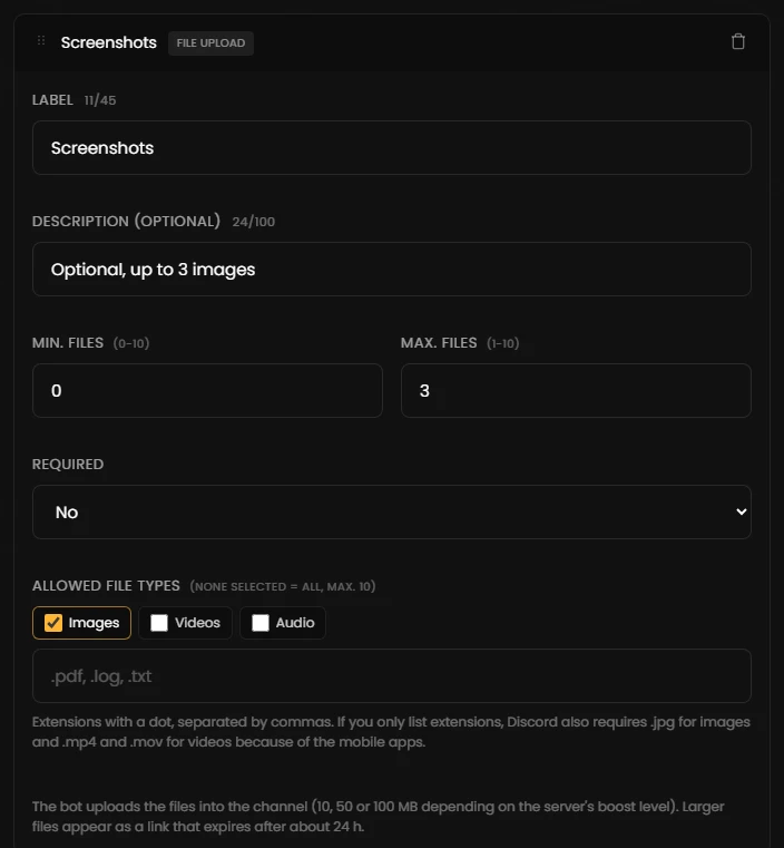 Settings of a file upload field